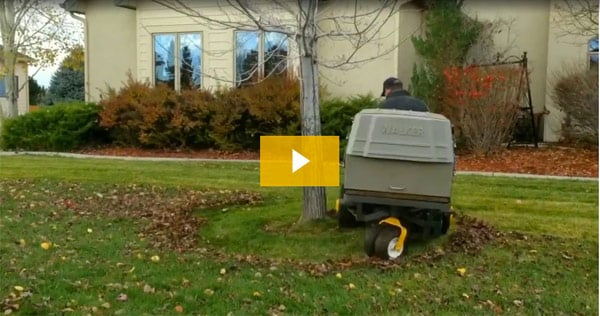 Walker Leaf Cleanup